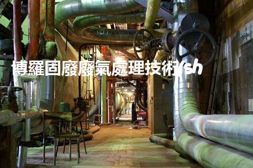 博羅固廢廢氣處理技術(shù)，到底有多厲害？